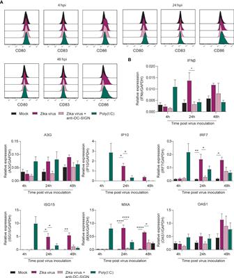 Transmission of Zika virus by dendritic cell subsets in skin and vaginal mucosa